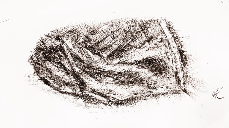 Małgorzata Kmieciak - rysunek, sepia