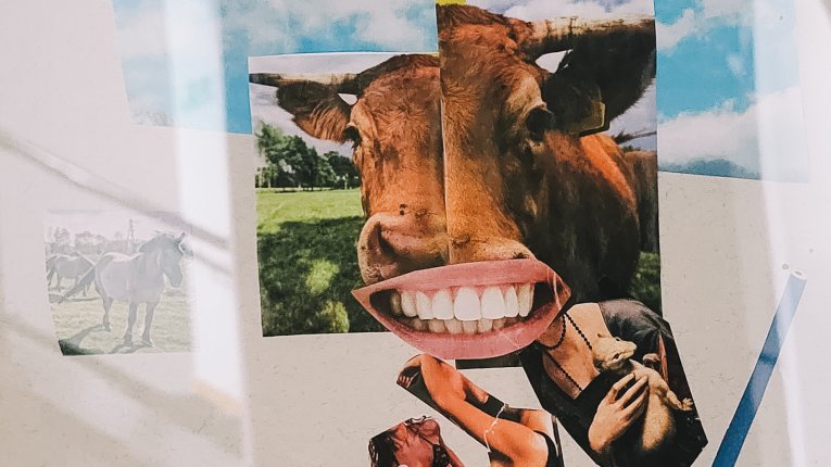 Surrealistyczny kolaż z pociętych wycinków z gazet. Na górze widnieje głowa krowy z nałożonymi dużymi, uśmiechniętymi ludzkimi ustami. Poniżej umieszczono mniejsze wycinki przedstawiające m.in. postacie ludzkie, osobę trzymającą zwierzę oraz niebieski ołó